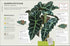 HOW NOT TO KILL YOUR HOUSEPLANT NEW EDITION - PEERLESS. VERONICA